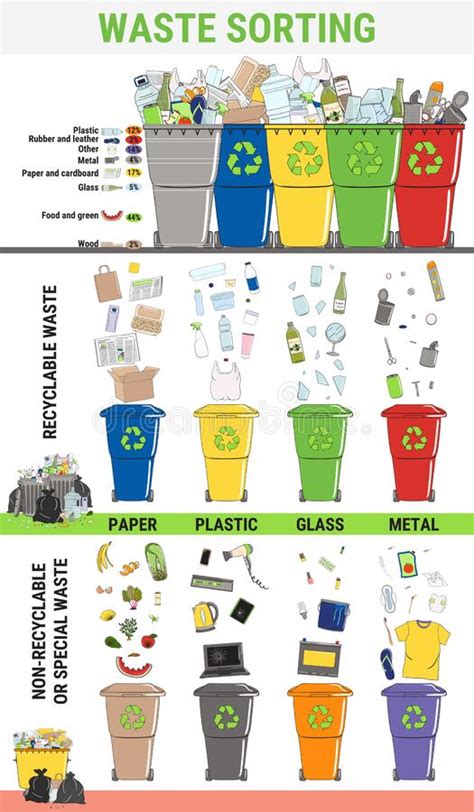 Waste Infographic Sorting Garbage Segregation And Recycling