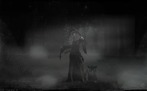 The Forest Witch By Chaospixelart On Deviantart