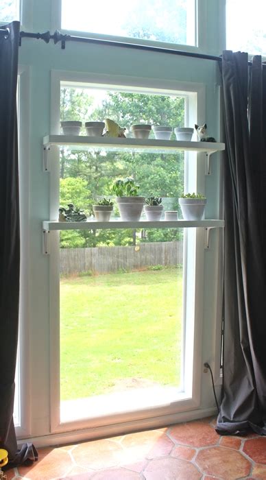 Maybe you would like to learn more about one of these? DIY Window Plant Shelves