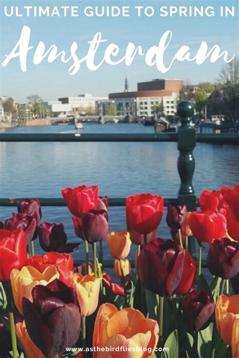 Amsterdam Travel Ultimate Guide To Visiting Amsterdam In Spring Artofit