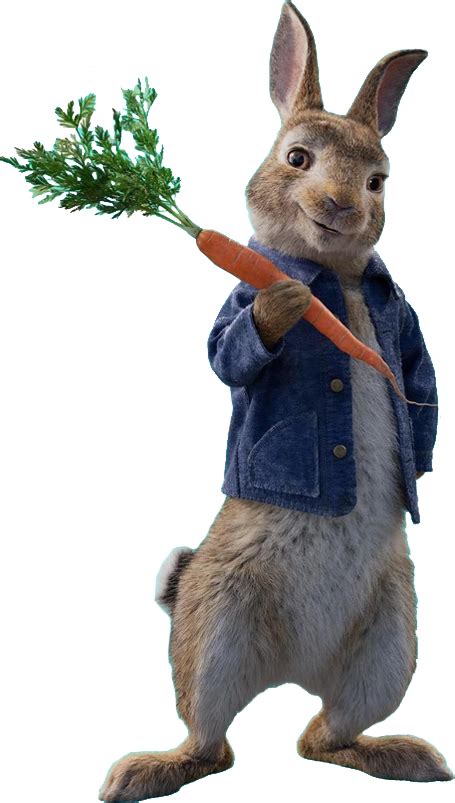 Image Peter Rabbitpng The Parody Wiki Fandom Powered By Wikia