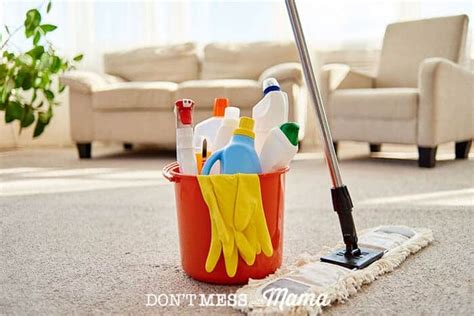 7 Toxic Household Cleaners To Avoid Dont Mess With Mama