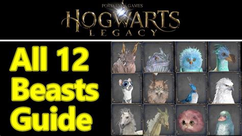 Hogwarts Legacy All 12 Beast Locations Phoenix Graphorn Unicorn And