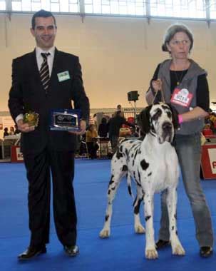Fars news agency is licensed under a creative commons attribution 4.0 international license. dogue allemand : al-azhar