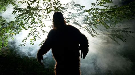 Is Bigfoot Real You Likely Already Know The Answer Live Science