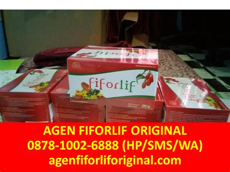 Kalau anda pernah bertanam tumbuhan lain, anda juga dapat menanam goji berry. Minuman Herbal Untuk Mengecilkan Perut - Apa Bagaimana