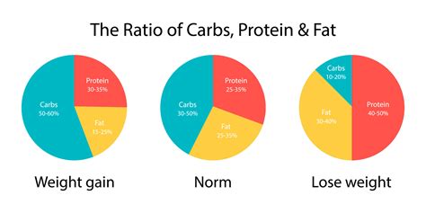 The Diagram Ratio Of Carbs Fats And Protein For Weight Gain And Lose