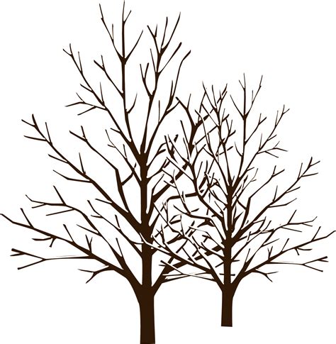 Winter Tree Png