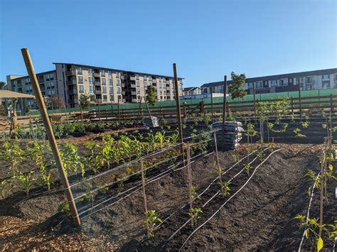 Urban farming development sprouts in Santa Clara - San José Spotlight