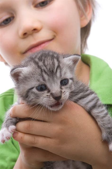 Boy With Cat Stock Image Image Of Child Tiny Holding 2418201
