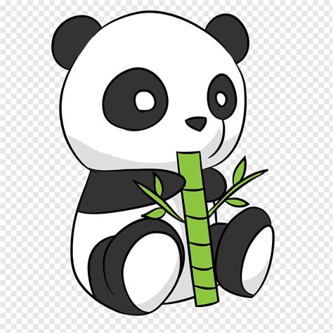 Panda Eating Bamboo Giant Panda Drawing Cuteness Cute