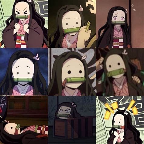 80 Nezuko Wallpaper Meme Picture Myweb