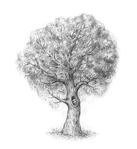 How To Draw A Tree Graficznie