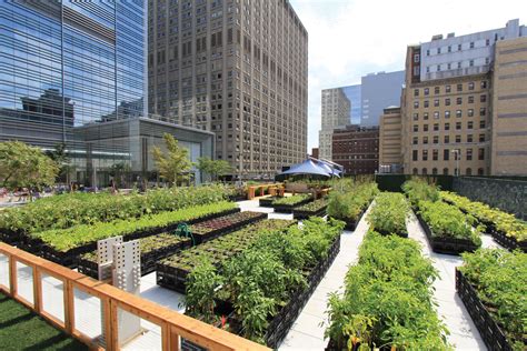 Riverpark Farm — GrowNYC Partners