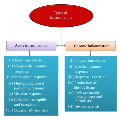 Chronic Inflammation Concept Map
