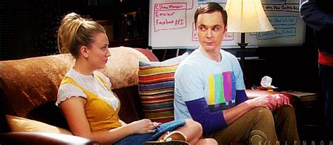 The Big Bang Theory Sheldon Cooper  Wiffle