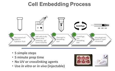 In a cell culture technique, cells are removed from an animal or a plant and grown subsequently in a favorable environment. Cell-Mate3D™ 3D Cell Culture Matrix | BRTI Life Sciences