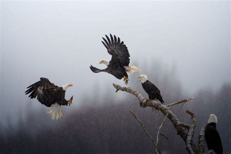 National Geographic Announces Winners Of Pictures Of The Year Photo