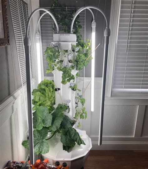 11 Vertical Hydroponics Systems And Designs For Super Efficiency Freaks