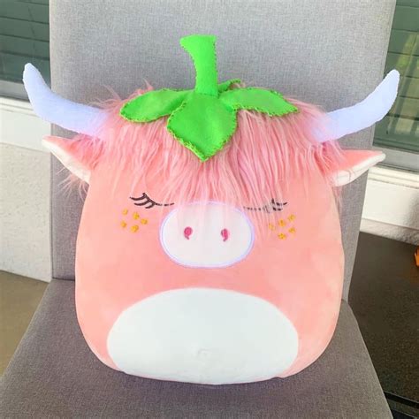 My First Custom Hailee The Highland Strawberry Cow🥰🍓 Squishmallow