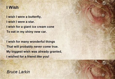 I Wish I Wish Poem By Bruce Larkin