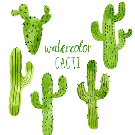 Free Cactus Clip Art Download Free Cactus Clip Art Png Images Free