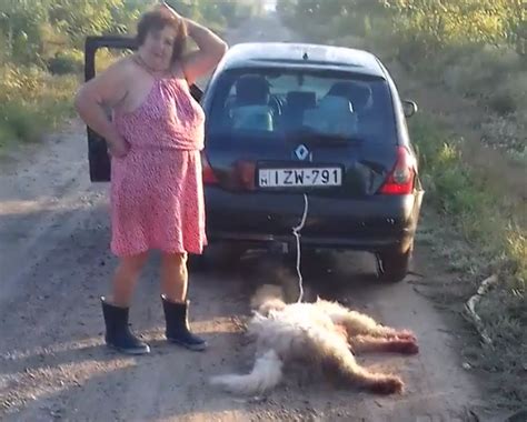 Kocsi után kötötte majd élve elásta kutyáját egy asszony