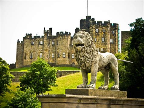 Lion And Castle Sue Flickr