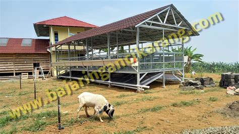 Kandang baja ringan, kota palangka raya. Kandang domba dari baja ringan | Baja Ringan Cikarang