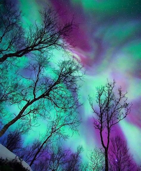 Aurora Borealis Observatory On Instagram “northern Lights Dancing