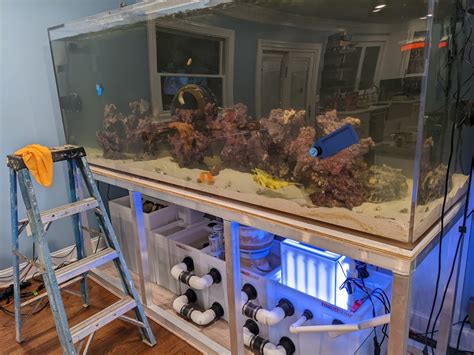 Maryland Aquariums Drygoods Tsunami 400g Acrylic Aquarium 96
