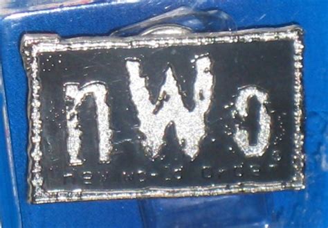 Nwo New World Order Wrestling Collector Pin