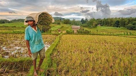 Petition · Save The Filipino Farmers Philippines ·