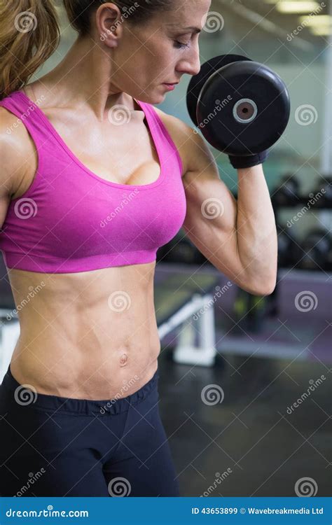 Mulher Apta Que Exercita Com Peso No Gym Imagem De Stock Imagem De Frente Adulto