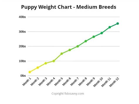 One study showed that only 10% of people with an overweight cat knew that their cat was overweight. Puppy Weight Chart