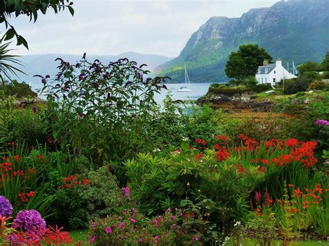 Another Look Back To July A Private Scottish Garden In Plockton West