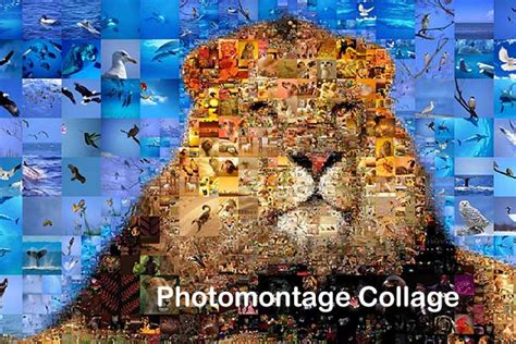 2 Best Methods To Make Stunning Photo Montage Collage