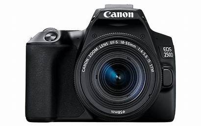 Canon 250d Eos Lens Camera Dslr 55mm