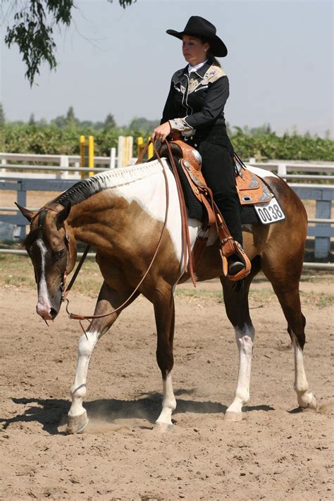 1,748 отметок «нравится», 6 комментариев — equine rampaige© (@equine.rampaige) в instagram: Buckskin Paint Horses | Buckskin Paint Horse Gelding ...