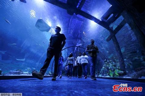 Abu Dhabi Opens The Largest Aquarium In The Middle East