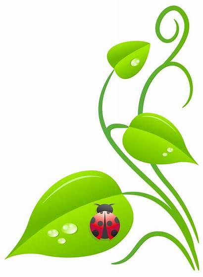 Garden Clipart Guild Ladybug Vine Botanical Huntsville