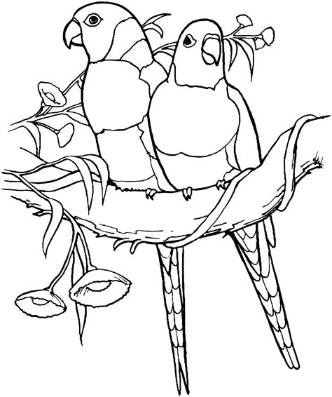 Check out all our coloring pages activities for kids and keep them coloring for hours! Parrots coloring pages to download and print for free