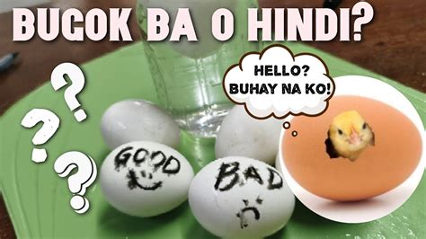 Paano Malalaman Kung Bugok Na Ang Itlog Stale Egg Test Foreign