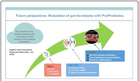 Modulation Of Gut Microbiome With Probiotics And Prebiotics Download