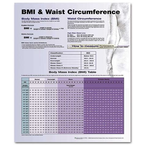 Bmi And Waist Circumference Chart 20 X 26