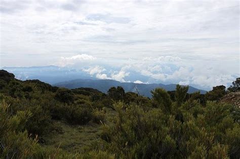 Cerro De La Muerte Peak Of Death Province Of San Jose Costa Rica