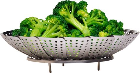 Broccoli Png Image Purepng Free Transparent Cc0 Png Image Library