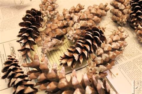 Christmas Star Decorations Using Pine Cones Hometalk