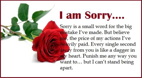 I am sorry that you feel so misunderstood. Sorry Sms