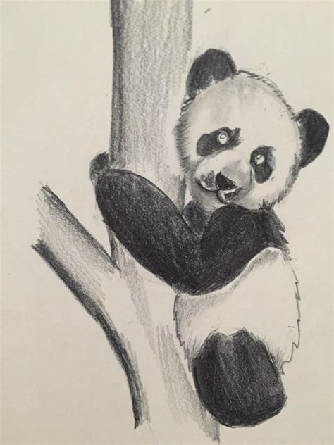 How To Draw A Panda Bear — Steemit